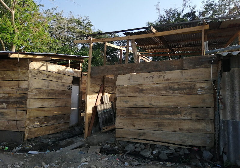  Conformismo e inconformismo