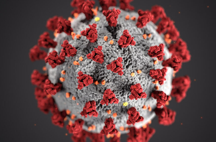  En la carrera para la vacuna contra la COVID-19, la victoria o la derrota es de todos