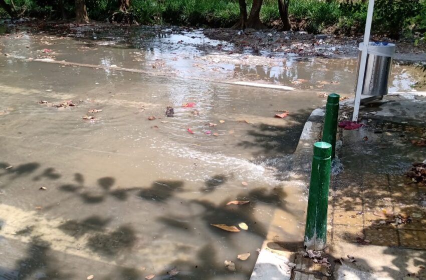  La terrible crisis sanitaria en el barrio el Mora de Montería