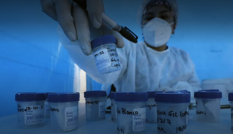  INS investiga caso de presunto fallecido por variante brasileña