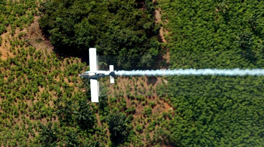  Firman decreto para aspersión; esto falta para regreso del glifosato