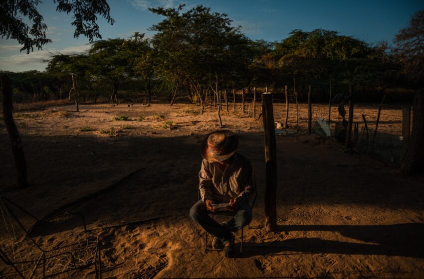  Grupos terroristas se instalan en Venezuela mientras crece la anarquía
