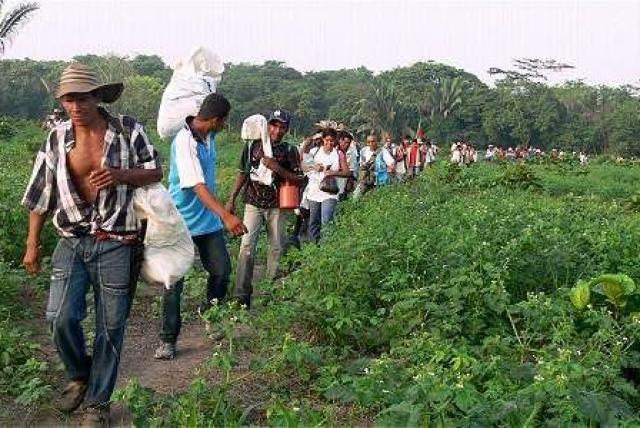  Quedó en libertad el despojador de tierras del Urabá Benito Molina