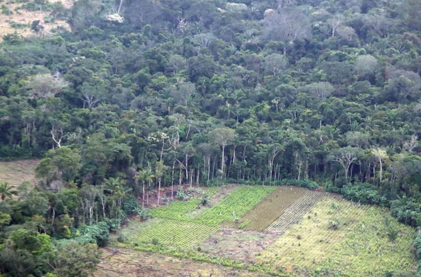  Fiscalía General creará una unidad especial para delitos ambientales