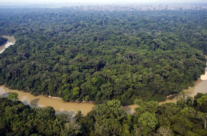  Entrevista a Sebastián Navarro: “América Latina tiene todo el poder ecológico de este planeta”