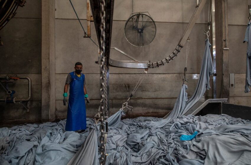  Los asientos de piel de las camionetas de lujo impulsan la deforestación de la Amazonia