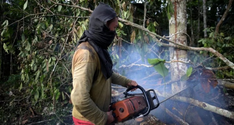  Deforestación se traga con más voracidad la selva amazónica después del acuerdo de paz