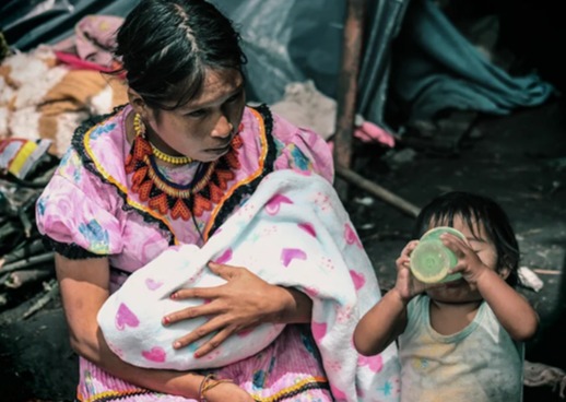  Las comunidades indígenas del Cauca entre grupos armados ilegales y el Estado