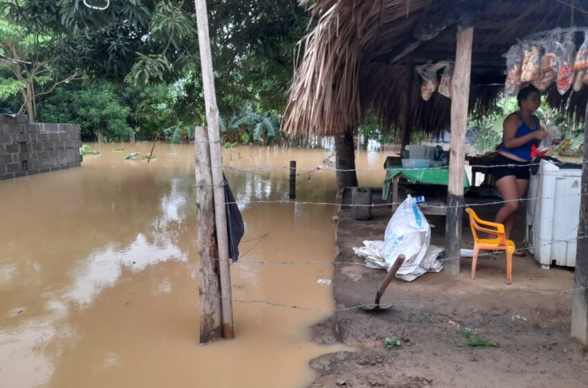  LA TRAGEDIA CONVERTIDA EN NEGOCIO