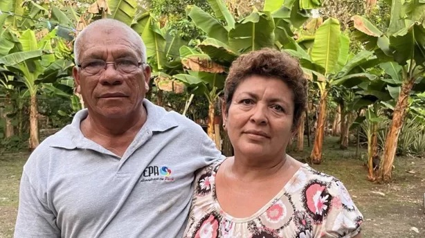  “Los pesticidas nos dejaron estériles”: la denuncia de miles de trabajadores bananeros en América Latina