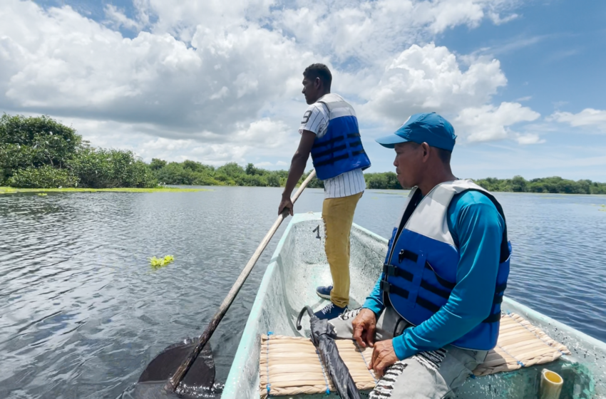  Pescadores artesanales le apuestan a la conservación de tres ciénagas en Caño Grande, Córdoba, con prácticas de turismo sostenible ﻿