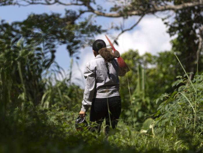  Reforma agraria: Gobierno ya no comprará 3 millones de ha de tierra