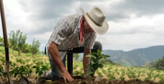  En Colombia no hay un problema de tierras, hay 100 problemas de tierras