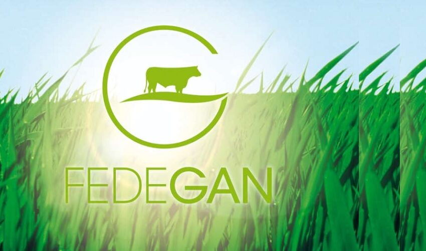  Fedegán le contestó a Petro: “los ganaderos estamos cumpliendo y seguiremos cumpliendo”