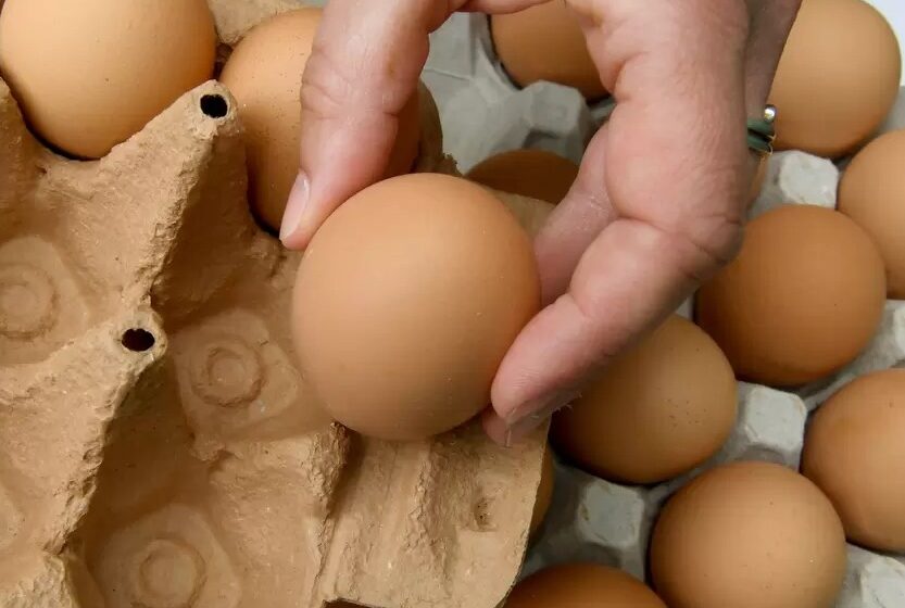  El huevo y la leche seguirían subiendo de precio por colapso del puente en el Quindío