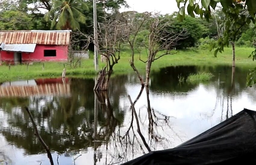  En Loma Grande, siguen conviviendo en medio de miles de metros cúbicos de lixiviados
