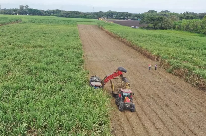  Reforma Rural: Procuraduría afirma que resultados de Agencia Nacional de Tierras no son claros