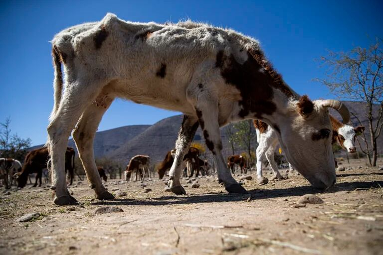  Febrero será el mes con menos lluvias, según el Ideam