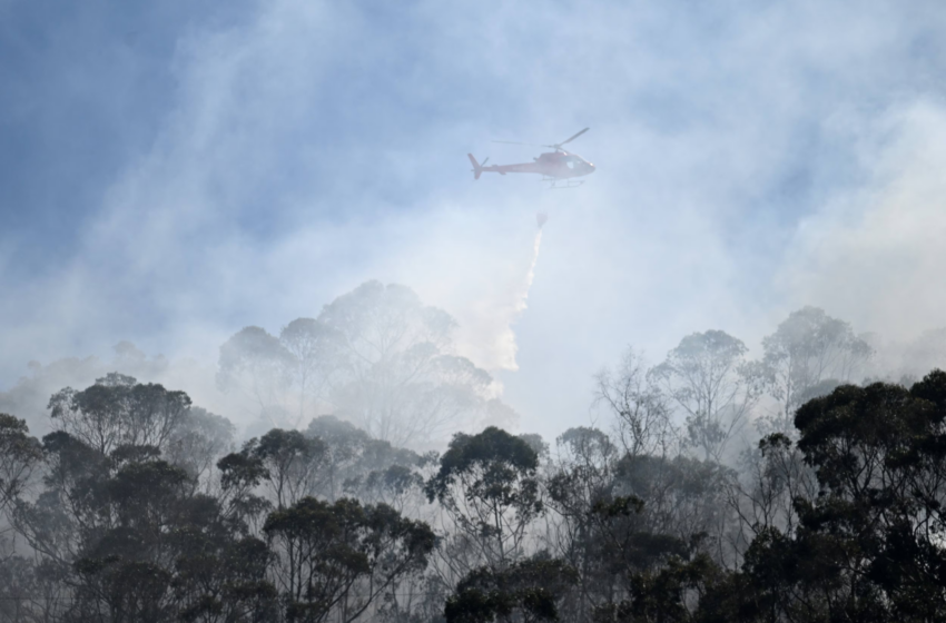  Ya son cerca de 12 las hectáreas afectadas por incendio en cerros orientales de Bogotá
