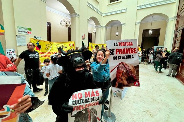  Cámara aprobó en último debate proyecto que prohíbe las corridas de toros en Colombia