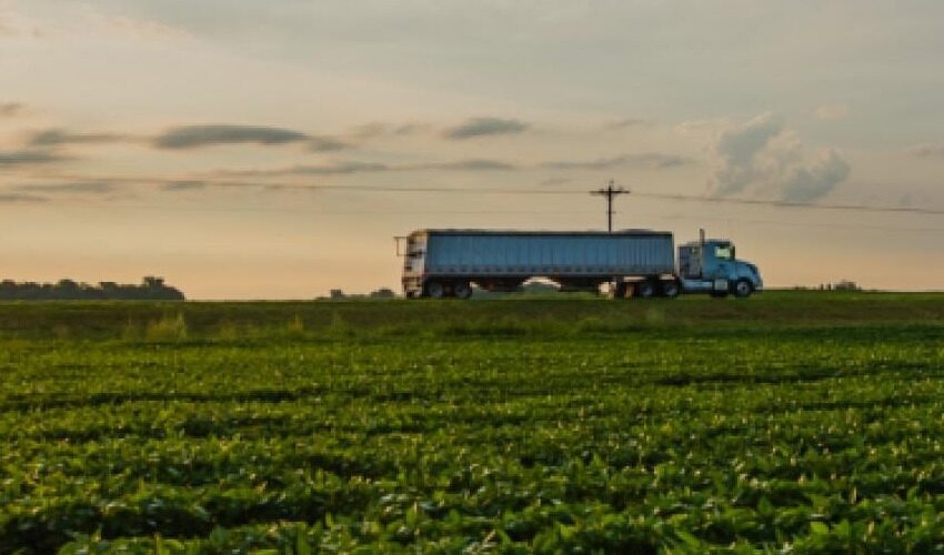  Cómo los aranceles de EE. UU. golpearían a las exportaciones agrícolas de Latinoamérica
