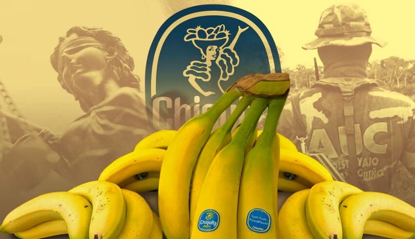  Histórica condena: justicia colombiana dictó sentencia contra siete directivos de Chiquita Brands por financiar a paramilitares