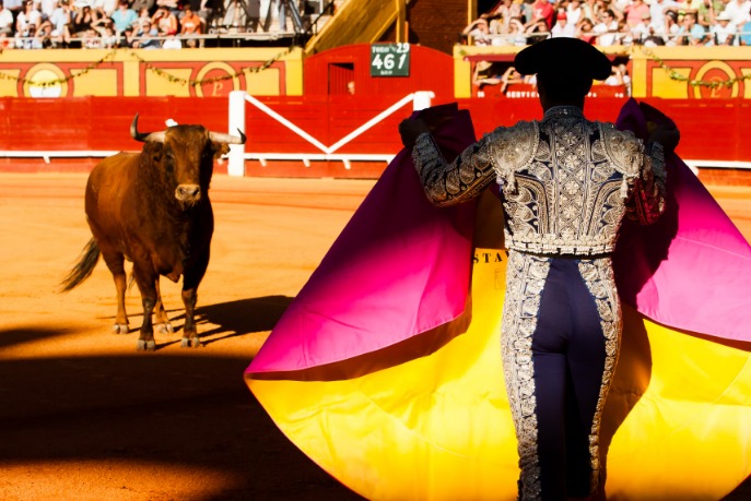  Corte Constitucional prohíbe corridas de toros, coleo, corralejas y peleas de gallos