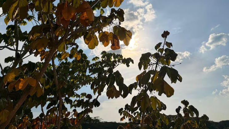  Autoridades ambientales lanzan alerta por intensa ola de calor en Córdoba